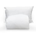 thumbnail image 1 of Paquete de Protector y Almohada Individual Spring Air Kit, 1 of 9