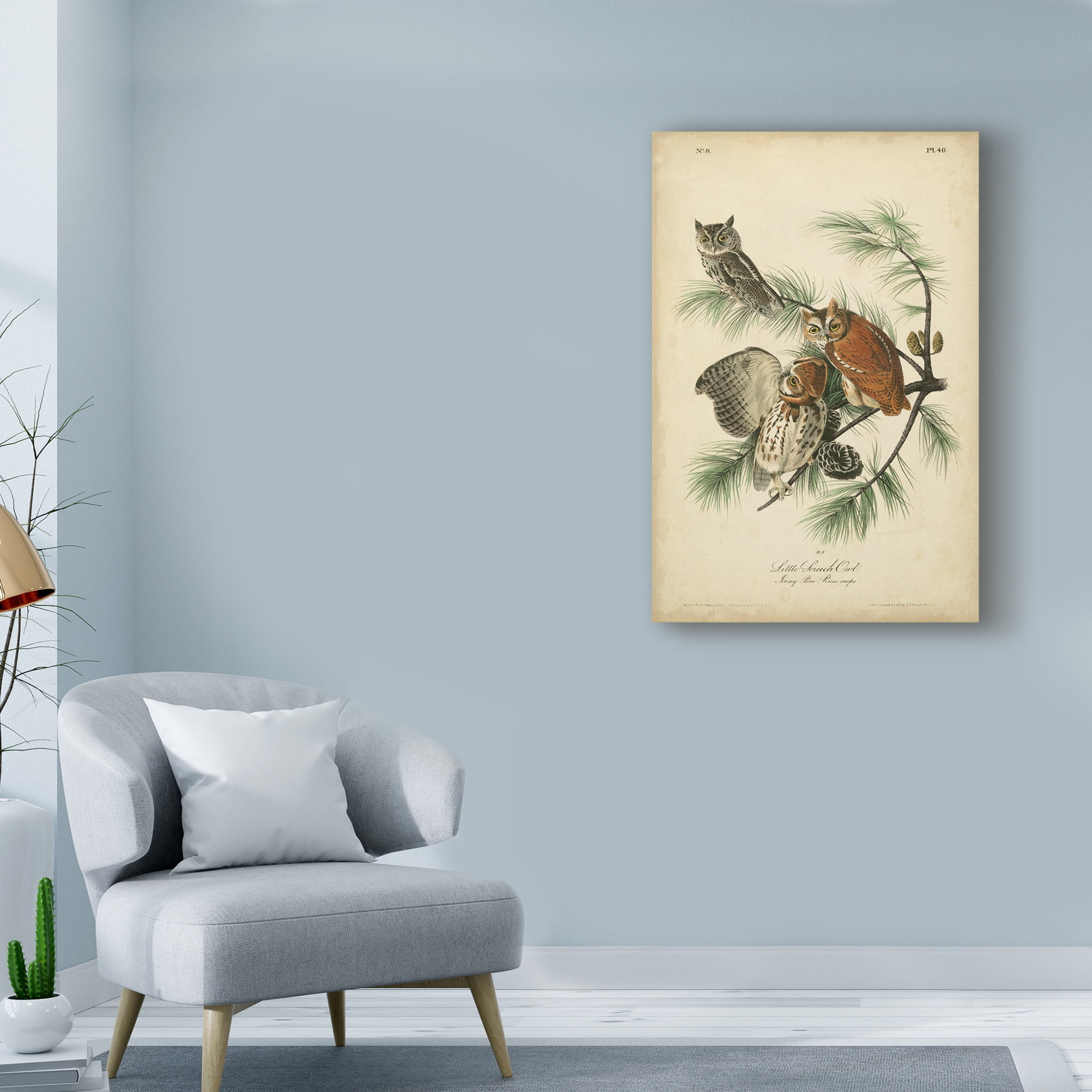 Trademark Fine Art 'Audubon Screech Owl' Canvas Art by John James Audubon