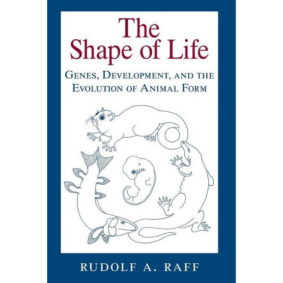 The Shape of Life : Genes, Development, and the Evolution of Animal Form (Paperback)