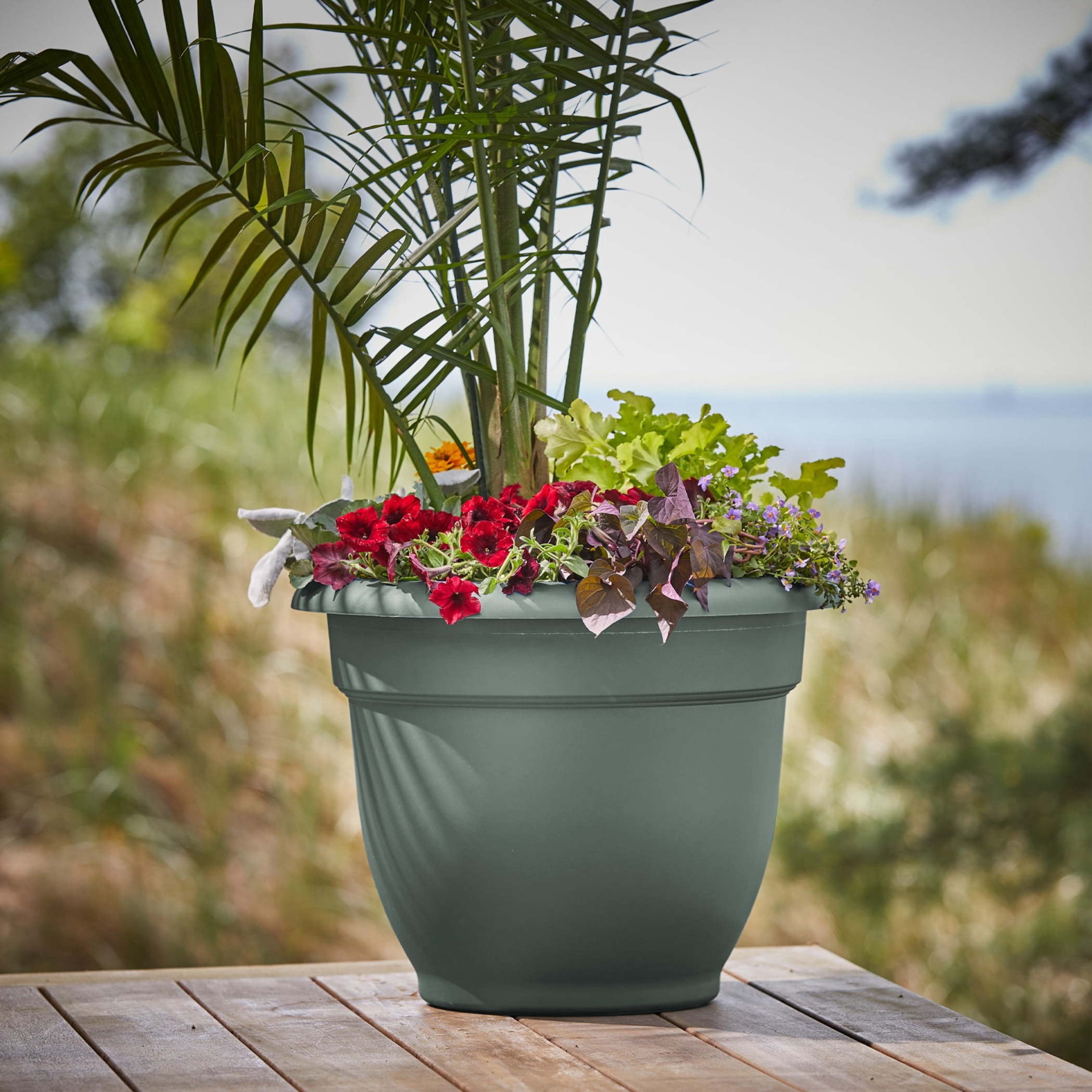 Bloem Ariana 16" Self-Watering Plastic Planter - Rolled Rim Indoor/Outdoor Garden Pot, Basil