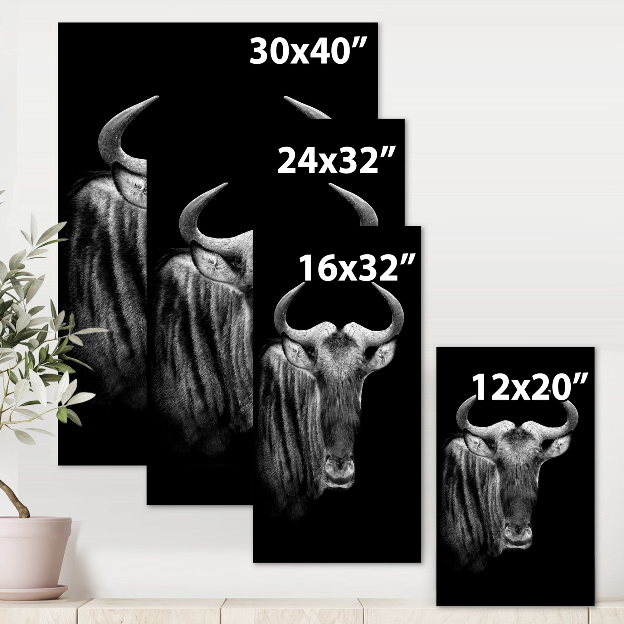 Designart ' Black and White Portrait Of Wildebeest ' Farmhouse Canvas Wall Art Print