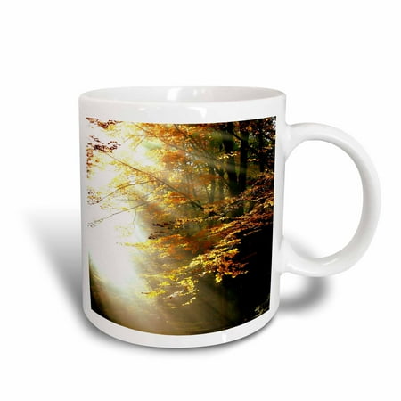 

3dRose Image of Sunlight Filters Thru Forest - Ceramic Mug 11-ounce