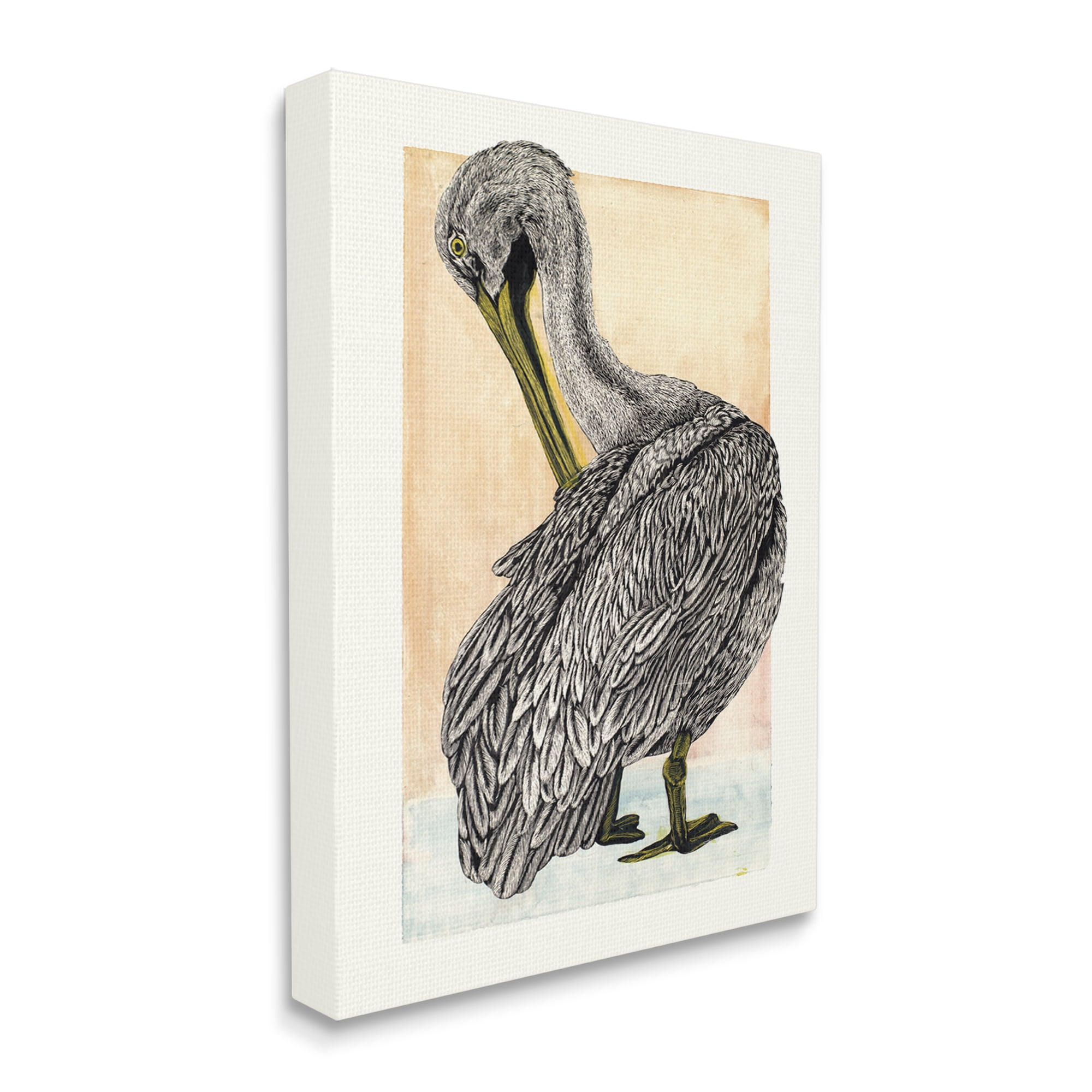 Stupell Industries Detailed Pelican Drawing Animals & Insects Drawing Gallery Wrapped Canvas Print Wall Art, 16 x 20