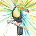 thumbnail image 3 of Pinto, Patricia 12x12 Black Modern Framed Museum Art Print Titled - Bright Tropical Toucan, 3 of 5