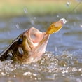 thumbnail image 3 of 1 Pce Attrape-Cicada Attractif pour Eau Douce Poisson / Poisson en Forme de Cicada Réaliste Fournitures de Pêche Hameçon Fort Réutilisable pour Lac Étang, 3 of 3