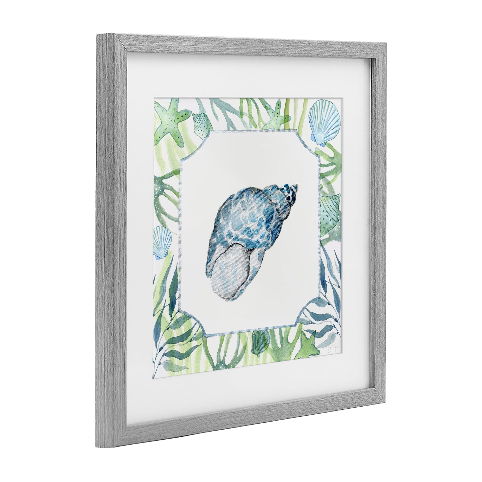 Stupell Industries Spotted Cowrie with Seaweed Gray Framed Print Under Glass, design by Janet Tava