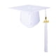 thumbnail image 1 of Gorro de graduación unisex mate con borla del año 2026, accesorio para adultos, ideal para la escuela secundaria, licenciatura y maestría., 1 of 8