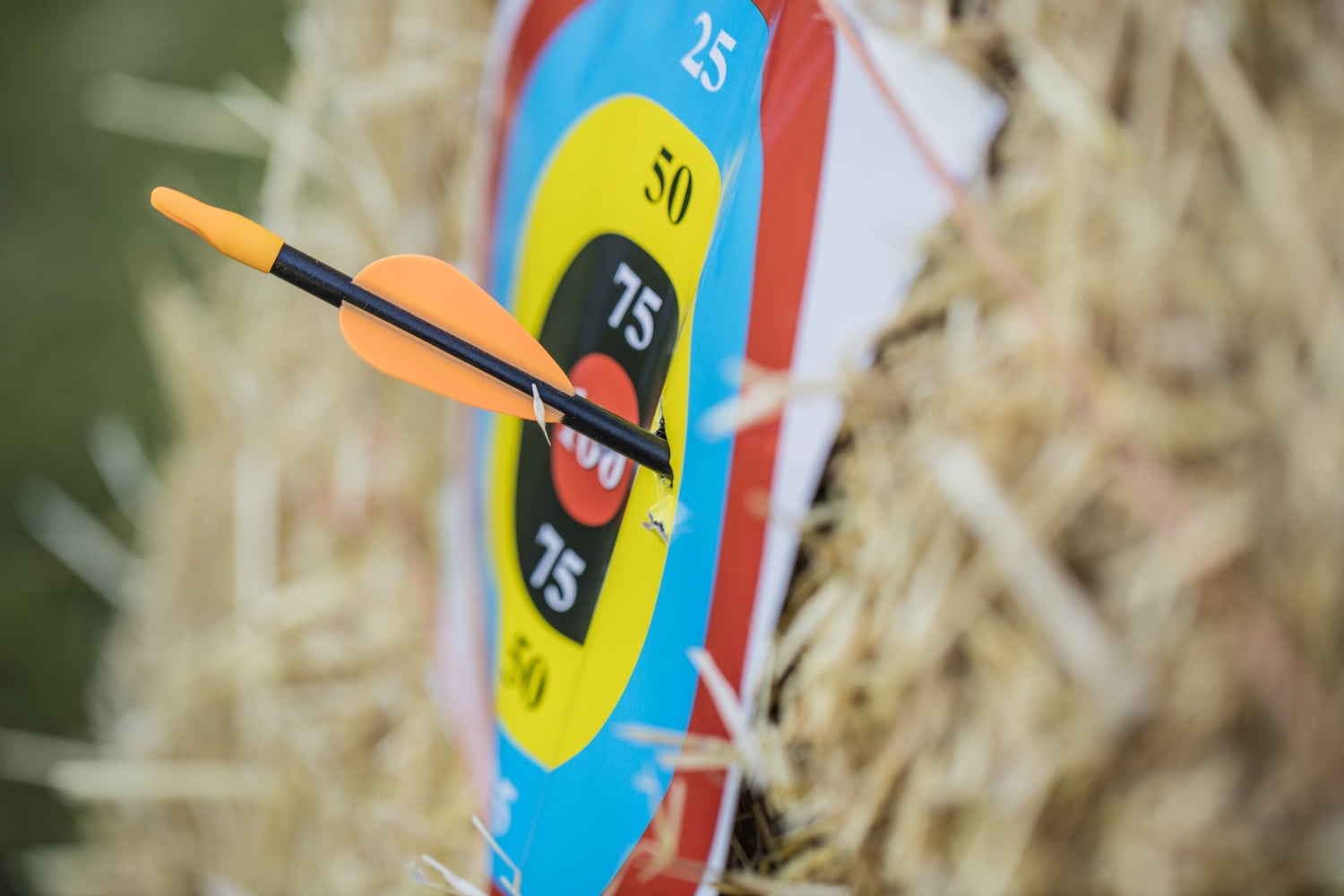 Bear Safetyglass Archery Arrows
