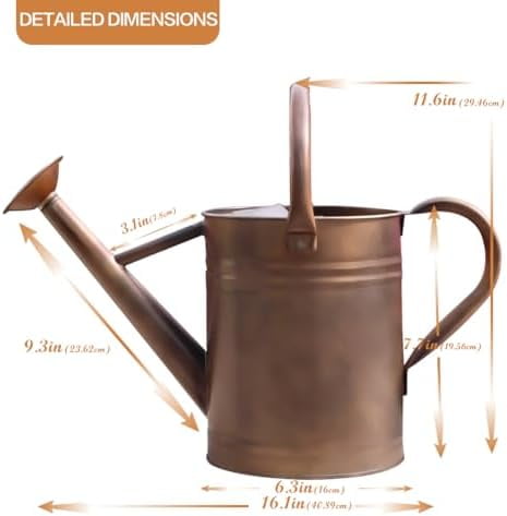 Galvanized Metal Watering Can, One Gallon Watering Cans for Outdoor Indoor Garden Plants Watering with Luminous Panit