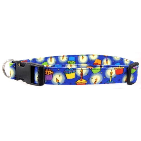 Birthday Cake Dog Collar - Size - Medium