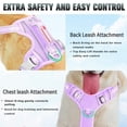 thumbnail image 3 of Arnés para perros BARKBAY, reflectante, sin tirones, con clip frontal, color morado L, 3 of 9