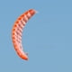 thumbnail image 1 of Cometa Acrobática Doble línea Stunt Parafoil Parachute Rainbow Sports Beach Kite (naranja), 1 of 8