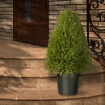 thumbnail image 2 of National Tree Artificial Upright Juniper-Size:48", 2 of 4