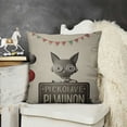 thumbnail image 2 of YINGXI - Decor, Decorative for Couch, Boy Nursery Decor, Pillows for Kids, Preschool Decor, Rules 24x24in, 2 of 5