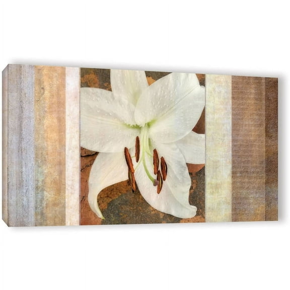 ArtWall Cora Niele "Ivory" Gallery-Wrapped Canvas