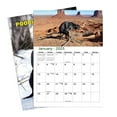 NEGJ 2025 Snow Dog Stool Calendar Each Month Showcases A Different