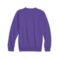 thumbnail image 2 of Hanes Boys 4-18 EcoSmart Fleece Sweatshirt, 2 of 5