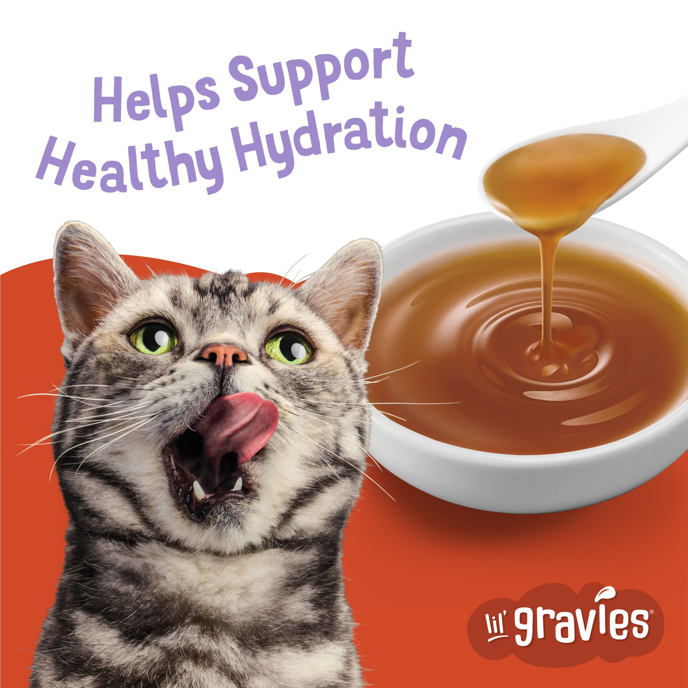 Purina Friskies Lil Gravies, Roasted Turkey Flavor Gravy, Wet Cat Food, 1.55 oz. Pouch