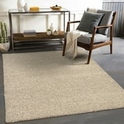 Mainstays Indoor Area Rug, Colors May Vary, 54 x 72