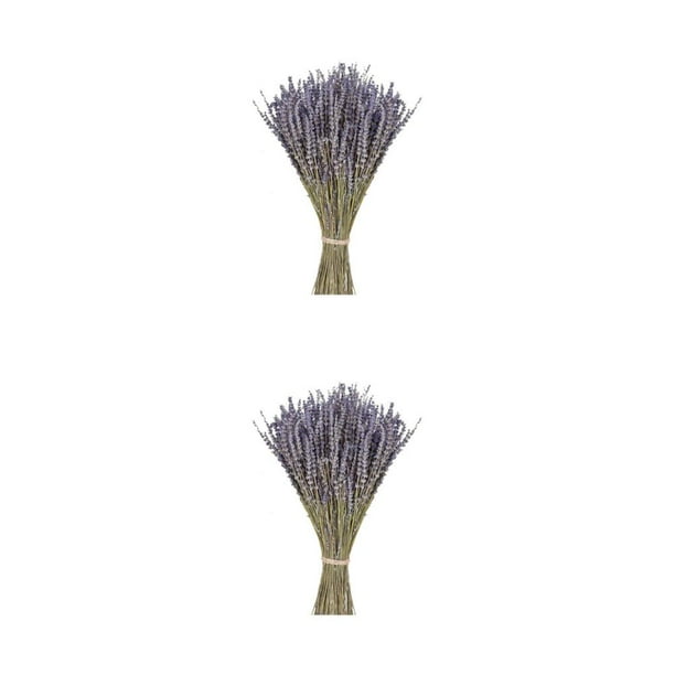 Injueey Lavanda seca, lavanda, hermoso ramo de flores decorativas, bricolaje, fiesta en casa