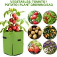 thumbnail image 5 of CJC 5 Pack Potato Grow Bags, 7 Gallon Vegetable Planter Containers, Fabric Planting Pots, Breathable Nonwoven Tomato Growing Gags, (Green), 5 of 15