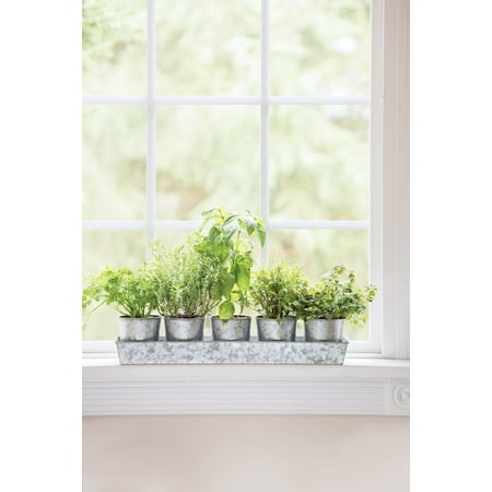 Galvanized Herb Planters with Rectangular Tray