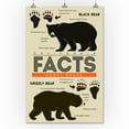 thumbnail image 3 of California, Facts About Bears, Grizzly and Black Bear (24x36 Giclee Gallery Art Print, Vivid Textured Wall Decor), 3 of 3