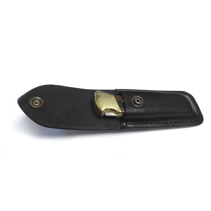 Buck Knives 110 Folding Hunter Lock Back Folding Knife