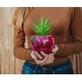 thumbnail image 6 of The Office Schrute Farms Rustic 8-Inch Planter With Artificial Succulent, 6 of 6