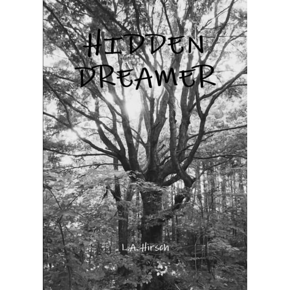 Hidden Dreamer, (Paperback)