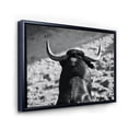 thumbnail image 3 of Designart 'Black and White Portrait Of A Spanish Bull II' Farmhouse Framed Canvas Wall Art Print, 3 of 5