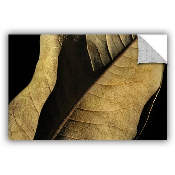 ArtAppealz Dan Holm "Natural Selection" Removable Wall Art