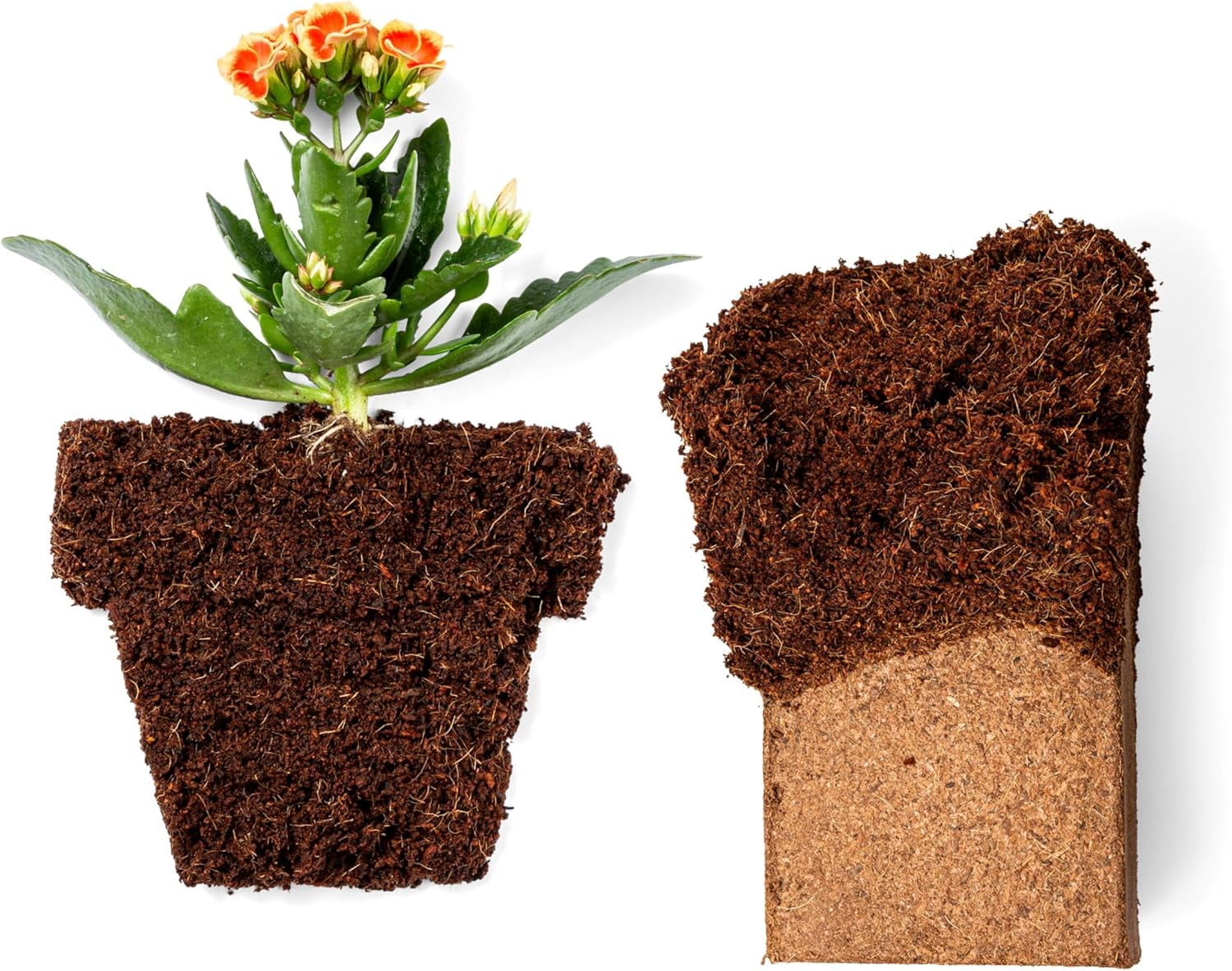 20-Pack Organic Coco Coir Bricks, 650g OMRI Listed Coconut Coir for Planting & Gardening