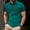 Army Green, variant on Short Sleeve Polo Shirts for Men Yellow Boho Collared Tops Paisley Minimalist Polos Dress Shirts for Men