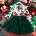 thumbnail image 2 of Odeerbi Kids Girls Ruffle Long Sleeve Christmas Dress Floral Tiered Tulle Dress Fall Winter New Round Neck Skirt Rose Print Dress Green, 2 of 6
