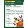 thumbnail image 2 of Traditional Medicinals Tulsi with Ginger Herbal Tea Organic, 16 CT (Pack of 6), 2 of 6