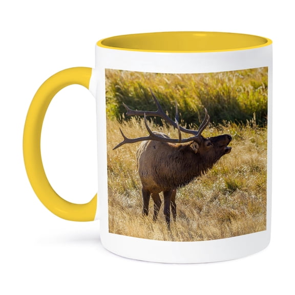 3drose, Usa, Colorado, Rocky Mountain National Park. Male Elk Bugling., 11oz Two-tone Yellow Mug