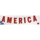 Stars & Stripes Banner 2.5'-America – image 2 sur 3