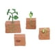 thumbnail image 3 of Juguete Modelo De Etapa De Crecimiento De Plantas, Juguete Modelo De Etapa De Crecimiento De Frijoles Firmes Interesante Para Juguete Creativo Para Decoración Del Hogar Para ANGGREK Plant Growth Cycle Toy, 3 of 8