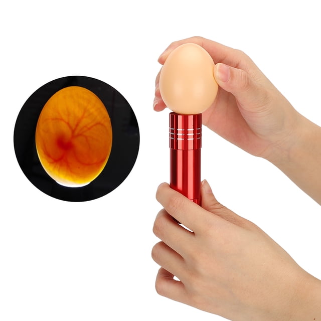 Egg Light, Egg Candler Tester For Monitoring Eggs Development Egg Candler For Chicken Eggs Egg Light For Nursery Bright Cool LED Light Candling Lamp For Hatching Poultry Accessory
