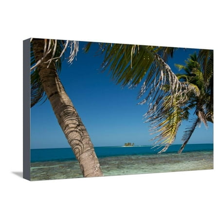 Silk Caye Island with Palm Trees, Caribbean Sea, Stann Creek District, Belize Stretched Canvas Print Wall