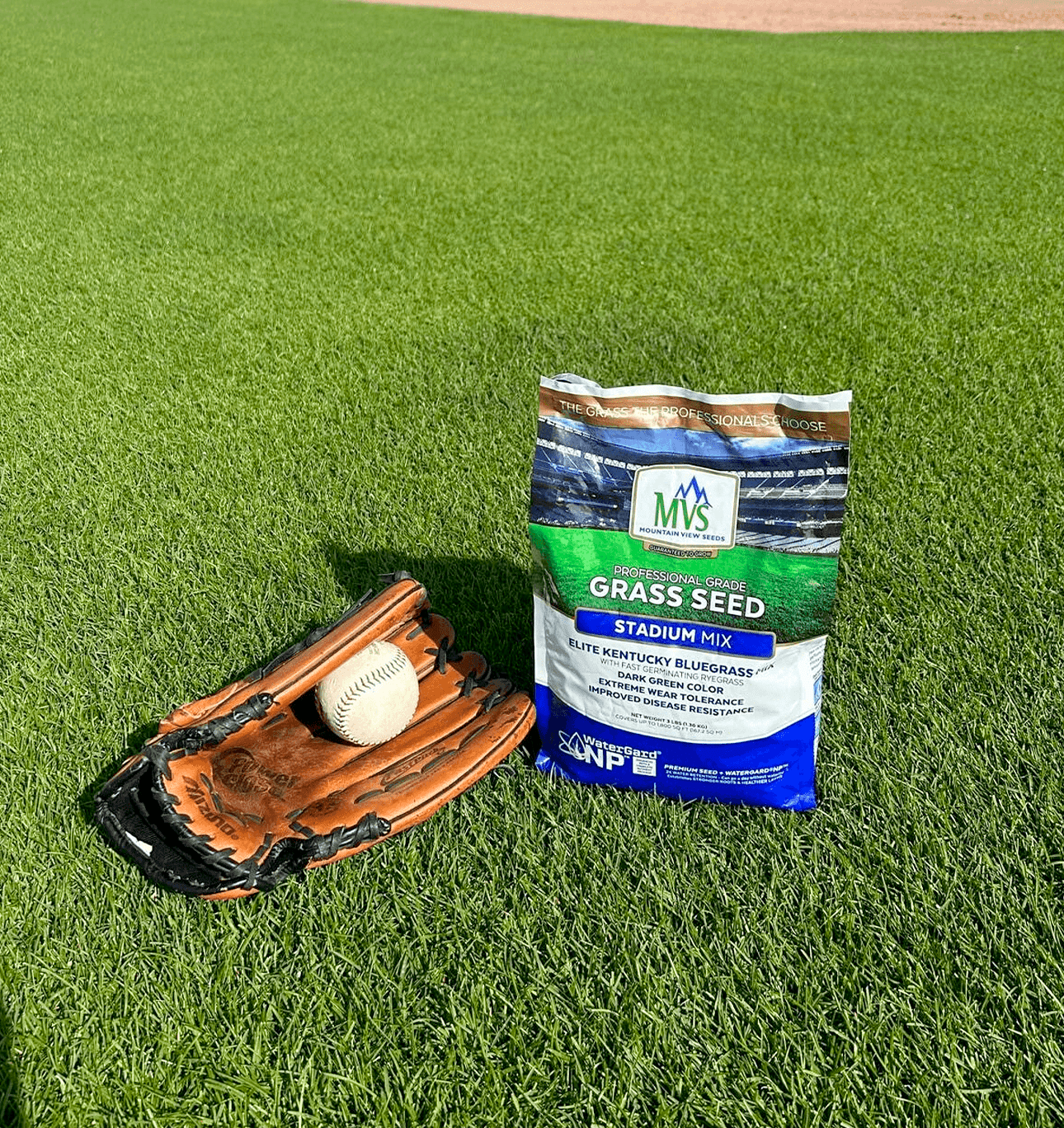 The Andersons Stadium Mix Kentucky Bluegrass Grass Seed - 3 lbs.