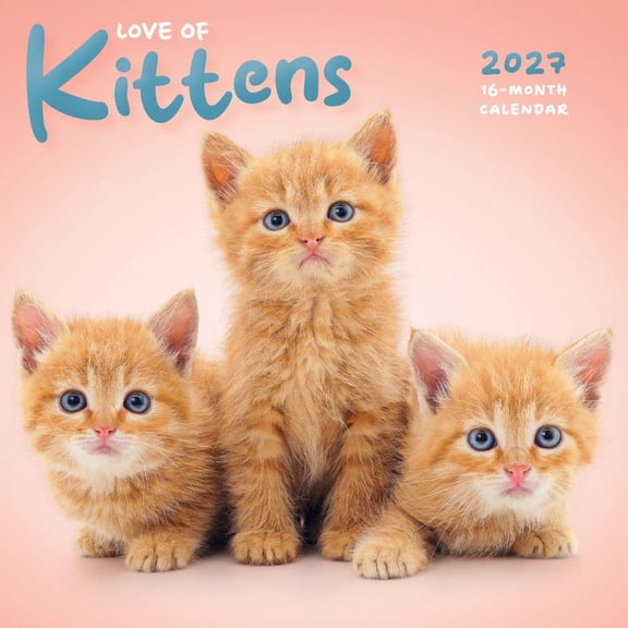 Carousel Calendars, Love of Kittens 2027 Mini Wall Calendar