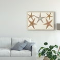 thumbnail image 3 of Trademark Fine Art 'Starfish Naturelle I' Canvas Art by Denis Diderot, 3 of 4