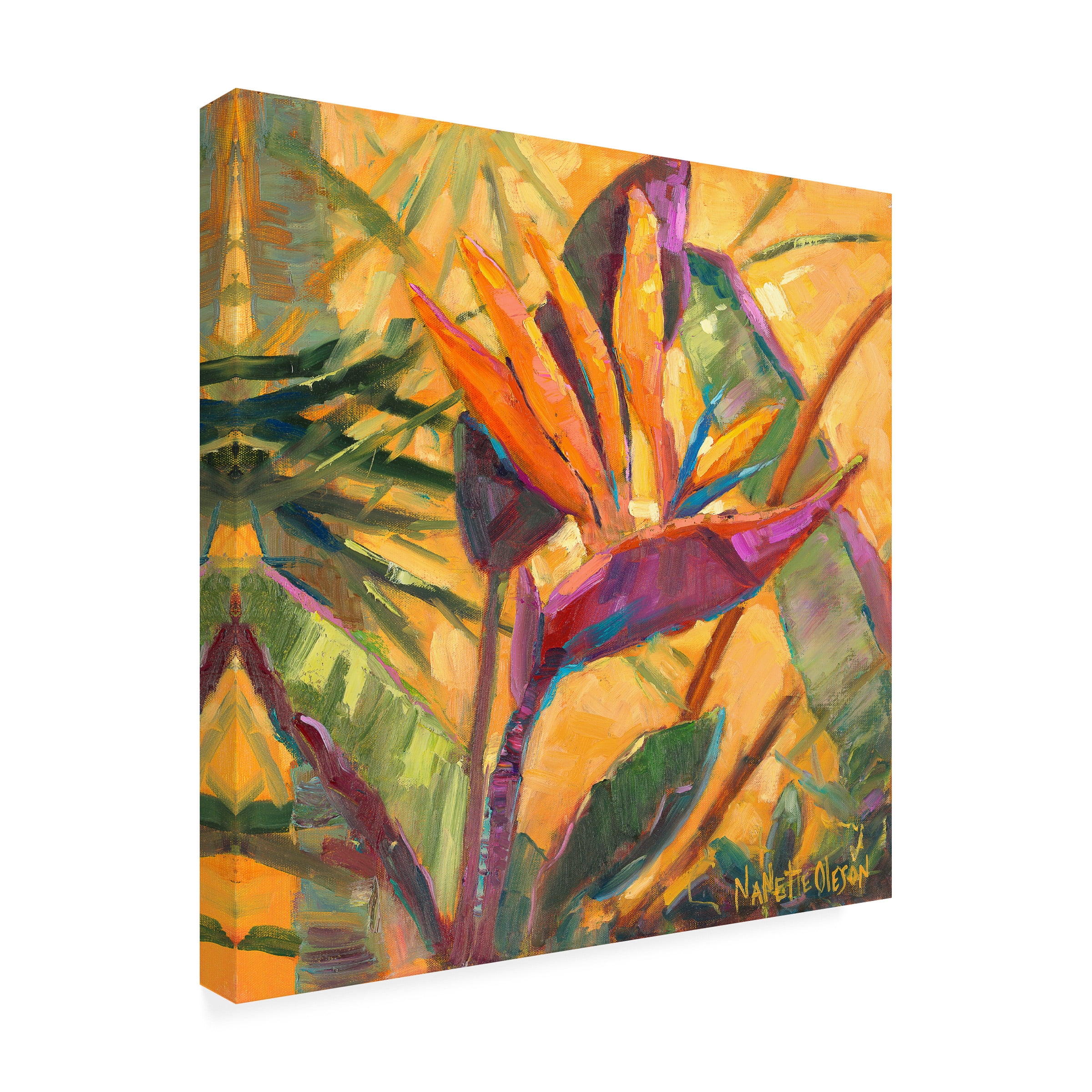 Nanette Oleson 'Splash Of The Tropics I' Outdoor Canvas 35x47