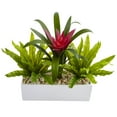thumbnail image 2 of Nearly Natural Bromeliad and Birdsnest with Planter in Green, 2 of 2