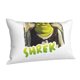 thumbnail image 2 of Fundas de almohada de Shrek, fundas de almohada mullidas súper suaves y acogedoras con cremallera, 20 x 30 pulgadas, dormitorio, sofá, sillón, funda de almohada para todas las estaciones, 2 of 8