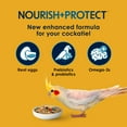 thumbnail image 4 of Kaytee Forti-Diet Pro Health Egg-Cite! Nourish+Protect Cockatiel Food 5 pounds, 4 of 14