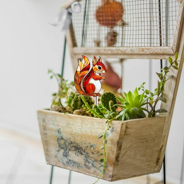 Birdeem Acrylic Planter Insert,Desktop Decor for Home and Office,Small Plant Holder with Transparent Design,Durable and Multifunctional Decoration