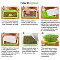 thumbnail image 4 of MYG Microgreens tray Hydroponic / sprouting Tray for Sprouts, 4 of 9